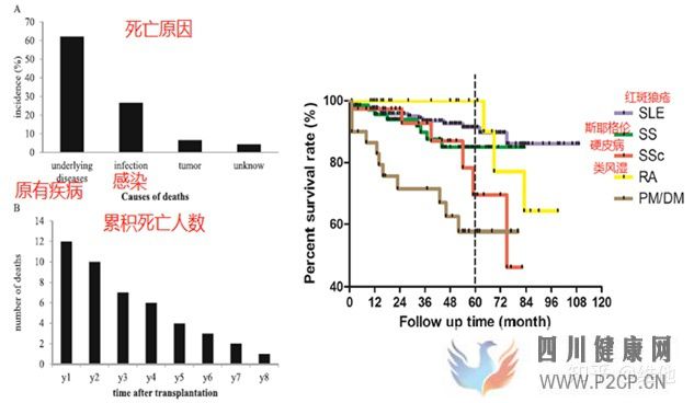 间充质干细胞治疗难治疾病的效果和安全性(图4) 间充质干细胞治疗难治疾病的效果和安全性(图4)