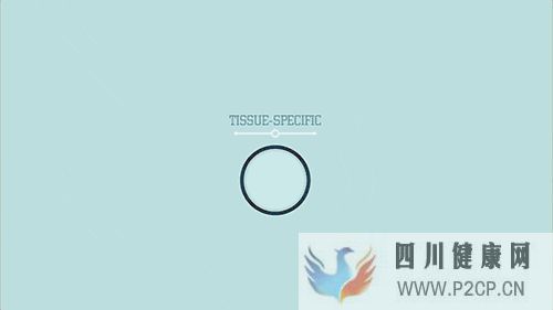 间充质干细胞移植治疗疾病的基本原理(图4) 间充质干细胞移植治疗疾病的基本原理(图4)