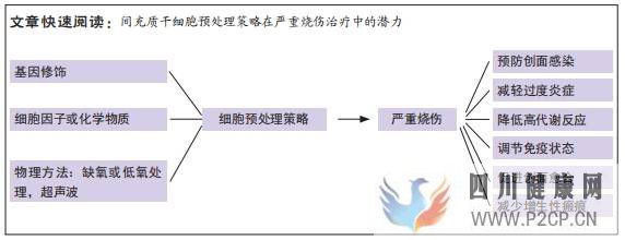 间充质干细胞预处理策略在严重烧伤治疗中的潜力(图1)