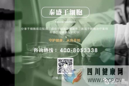 牙髓间充质干细胞填补了干细胞研究的空白(图12) 牙髓间充质干细胞填补了干细胞研究的空白(图12)