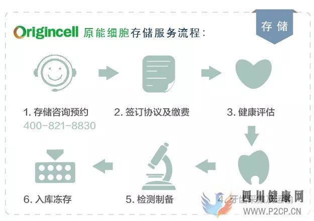 爱牙日乳牙干细胞存储,守护全家人健康(图11) 爱牙日乳牙干细胞存储,守护全家人健康(图11)