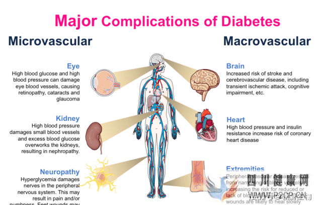干细胞移植治疗24例2型糖尿病的临床应用案例(图2)