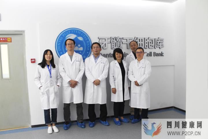 牙髓干细胞在口腔疾病治疗中的应用(图5) 牙髓干细胞在口腔疾病治疗中的应用(图5)
