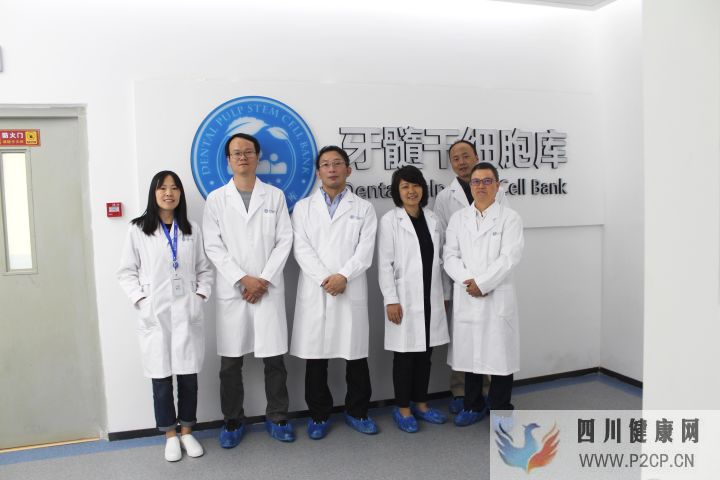 牙髓干细胞在口腔疾病治疗中的应用(图6) 牙髓干细胞在口腔疾病治疗中的应用(图6)