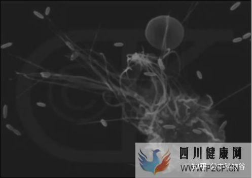 打干细胞有用吗(图3) 打干细胞有用吗(图3)