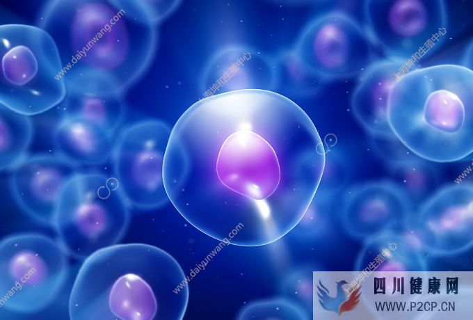 卵子干细胞试管婴儿技术是何方神圣？中国有这项技术吗？(图1)