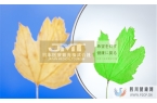 JMT日本干细胞经研究证实的干细胞抗衰效果及潜
