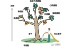 间充质干细胞储存的四大好处