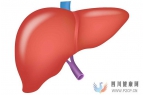 肝硬化、脂肪肝、肝功能不全等肝脏疾病的治疗日本