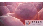 间充质干细胞移植治疗疾病的基本原理